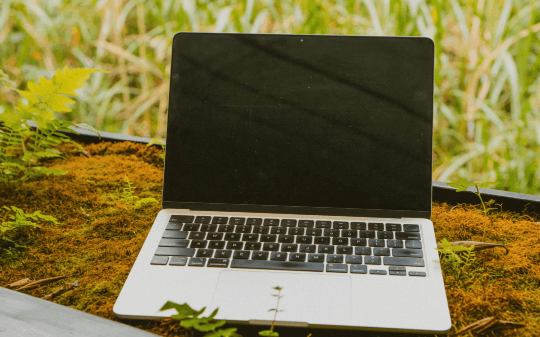 Hosting green: cosa vuol dire e perchè lo scelgo per i siti delle mie clienti.